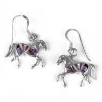 China Alibaba oxidization resistant custom Gemstone Horse Stainless Steel Earrings