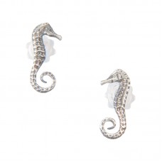 Stainless Steel Drop Earrings E718