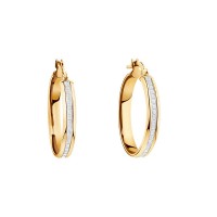 Glitter CZ Stainless Steel Hoop Earrings - E572