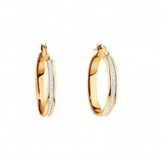 Glitter CZ Stainless Steel Hoop Earrings - E572