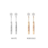 Stainless Steel Drop Earrings E727