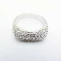 Stainless Steel CZ Woman Ring - R1064