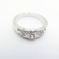 Stainless Steel CZ Woman Ring - R1075